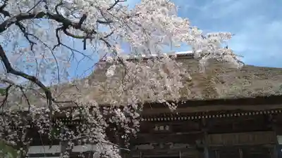 安国寺(京都府)