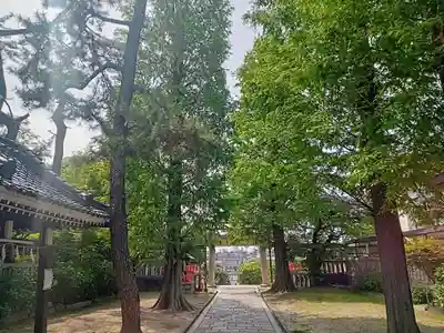 阿部野神社(大阪府)