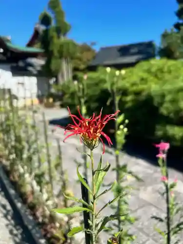 大覚寺の{uncategorized: "未分類", other: "その他", undefined: "問題あり", building: "その他建物", grave: "お墓", sacred_gate: "鳥居", guardian: "狛犬", statue: "像", buddha: "仏像", history: "歴史", nature: "自然", garden: "庭園", animal: "動物", pagoda: "塔", temizu: "手水舎", mountain_gate: "山門・神門", sanctuary: "本殿・本堂", subordinate: "末社・摂社", art: "芸術", scenery: "景色", jizo: "地蔵", ema: "絵馬", goshuin: "御朱印", omikuji: "おみくじ", items: "授与品その他", amulet: "お守り", goshuincho: "御朱印帳", eats: "食事", festival: "お祭り", votive_dance: "神楽", shichigosan: "七五三参", wedding: "結婚式", experience: "体験その他", initially: "初詣", around: "周辺", anti_infection: "感染症対策"}