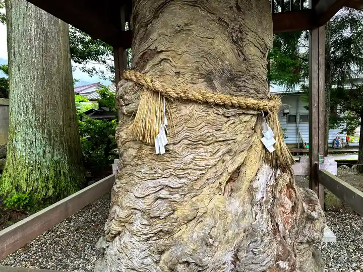 飛驒一宮水無神社(岐阜県)