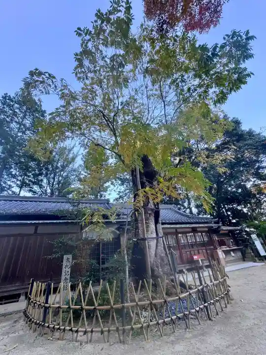 葛城一言主神社の{uncategorized: "未分類", other: "その他", undefined: "問題あり", building: "その他建物", grave: "お墓", sacred_gate: "鳥居", guardian: "狛犬", statue: "像", buddha: "仏像", history: "歴史", nature: "自然", garden: "庭園", animal: "動物", pagoda: "塔", temizu: "手水舎", mountain_gate: "山門・神門", sanctuary: "本殿・本堂", subordinate: "末社・摂社", art: "芸術", scenery: "景色", jizo: "地蔵", ema: "絵馬", goshuin: "御朱印", omikuji: "おみくじ", items: "授与品その他", amulet: "お守り", goshuincho: "御朱印帳", eats: "食事", festival: "お祭り", votive_dance: "神楽", shichigosan: "七五三参", wedding: "結婚式", experience: "体験その他", initially: "初詣", around: "周辺", anti_infection: "感染症対策"}