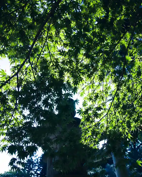 水戸八幡宮(茨城県)