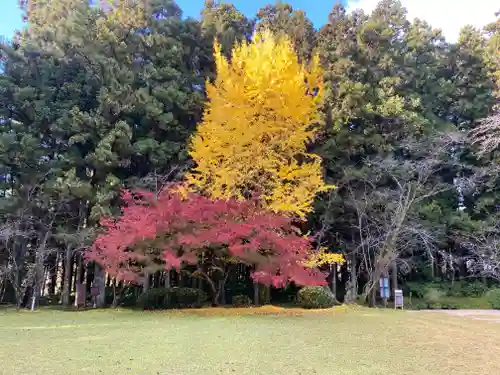 大斎原（熊野本宮大社旧社地）(和歌山県)