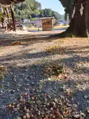 賀羅加波神社(広島県)