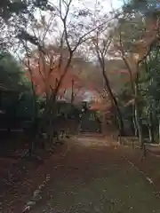 浄住寺の自然