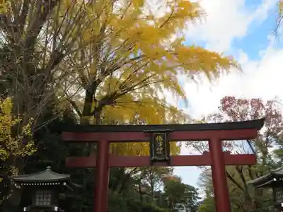 根津神社(東京都)