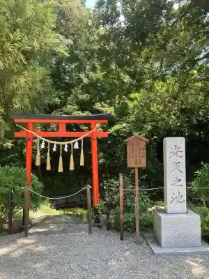 鷲宮神社(埼玉県)