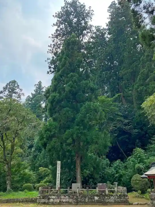 妙義神社の自然