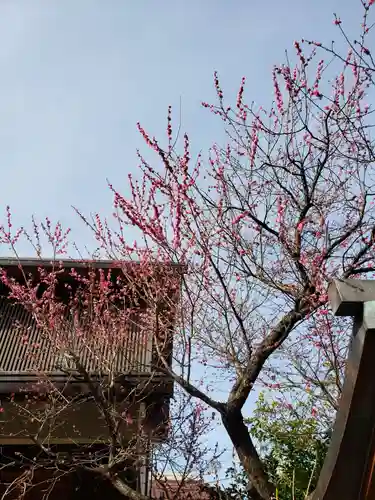 猿田彦神社の自然