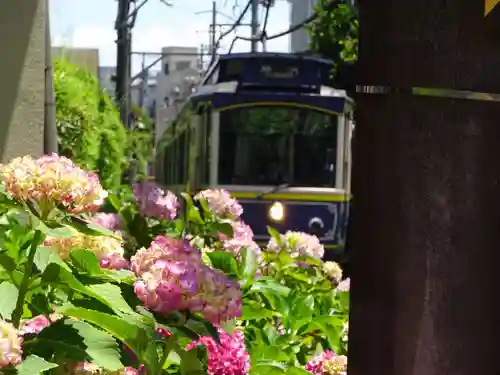 御霊神社の周辺