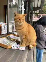 今市報徳二宮神社(栃木県)