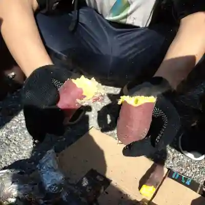 日蓮宗 総本山 塔頭 定林坊(じょうりんぼう)(山梨県)