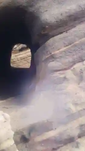 沖ノ島宇賀大明神社の自然