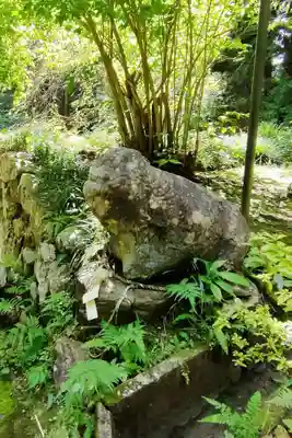 花園神社の狛犬