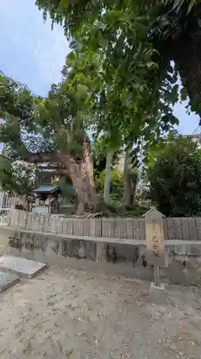 野里住吉神社(大阪府)