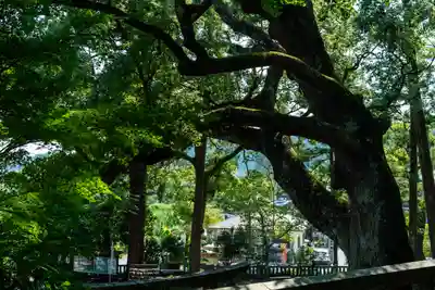 事任八幡宮(静岡県)
