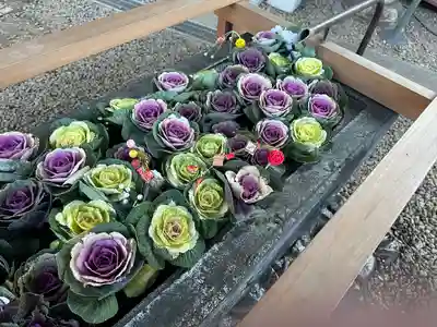 上目黒氷川神社(東京都)