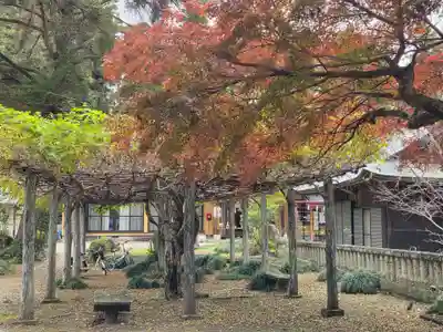 大神神社(栃木県)