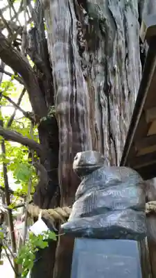 稲毛神社の狛犬
