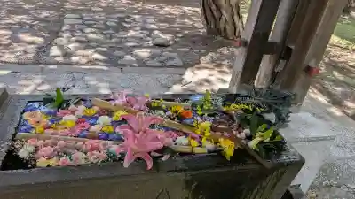 札幌護國神社の{uncategorized: "未分類", other: "その他", undefined: "問題あり", building: "その他建物", grave: "お墓", sacred_gate: "鳥居", guardian: "狛犬", statue: "像", buddha: "仏像", history: "歴史", nature: "自然", garden: "庭園", animal: "動物", pagoda: "塔", temizu: "手水舎", mountain_gate: "山門・神門", sanctuary: "本殿・本堂", subordinate: "末社・摂社", art: "芸術", scenery: "景色", jizo: "地蔵", ema: "絵馬", goshuin: "御朱印", omikuji: "おみくじ", items: "授与品その他", amulet: "お守り", goshuincho: "御朱印帳", eats: "食事", festival: "お祭り", votive_dance: "神楽", shichigosan: "七五三参", wedding: "結婚式", experience: "体験その他", initially: "初詣", around: "周辺", anti_infection: "感染症対策"}