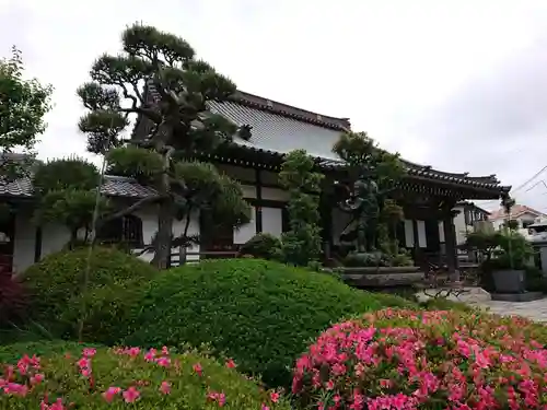 普門寺の本殿・本堂