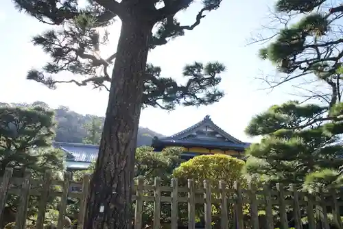 二見興玉神社の建物その他