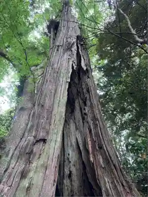 香取神宮(千葉県)