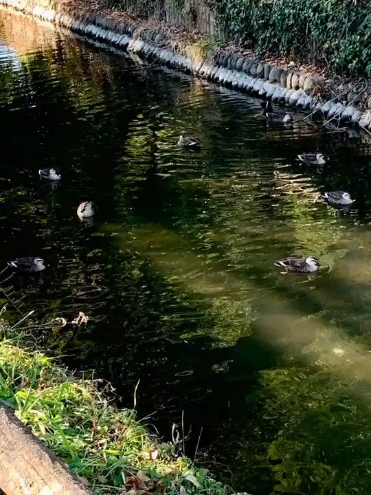 氷川女體神社(埼玉県)
