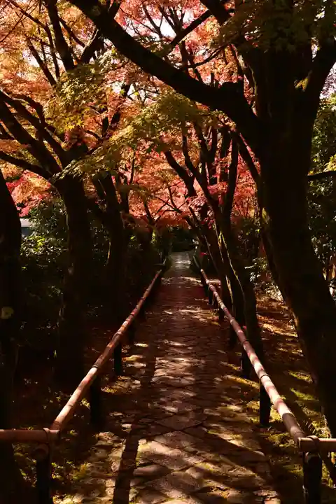 光悦寺(京都府)