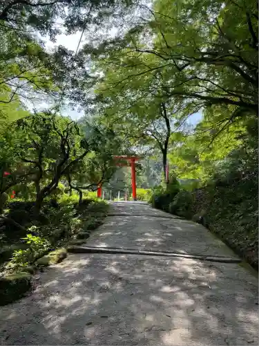 天開稲荷社(福岡県)