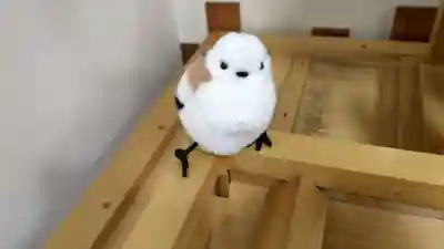 とんとん神社の像