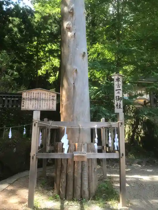 諏訪大社(長野県)