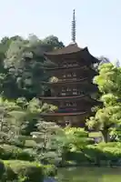 瑠璃光寺(山口県)