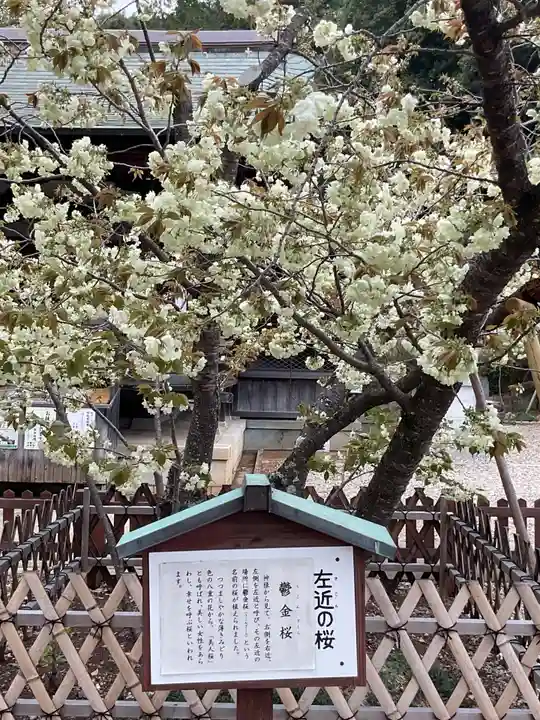 上地八幡宮(愛知県)