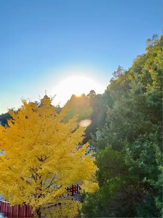 鶴岡八幡宮(神奈川県)
