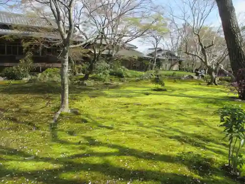 宝厳院の庭園