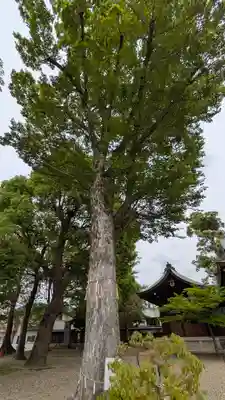 伴林氏神社(大阪府)