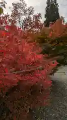 鍬山神社(京都府)