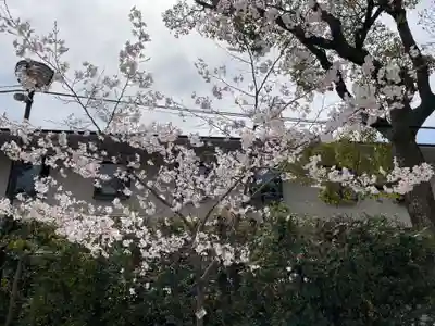 湊川神社(兵庫県)