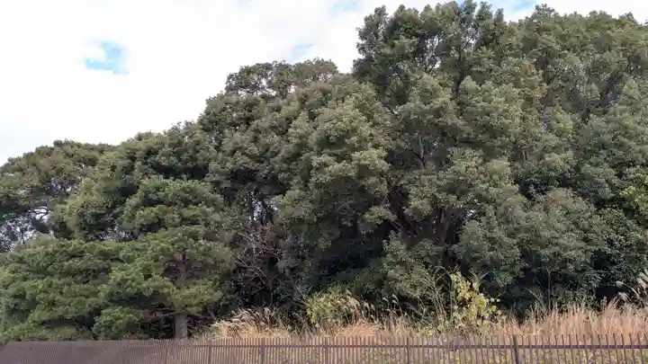 菟道稚郎子尊宇治墓のお墓