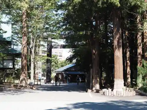 北海道神宮の鳥居
