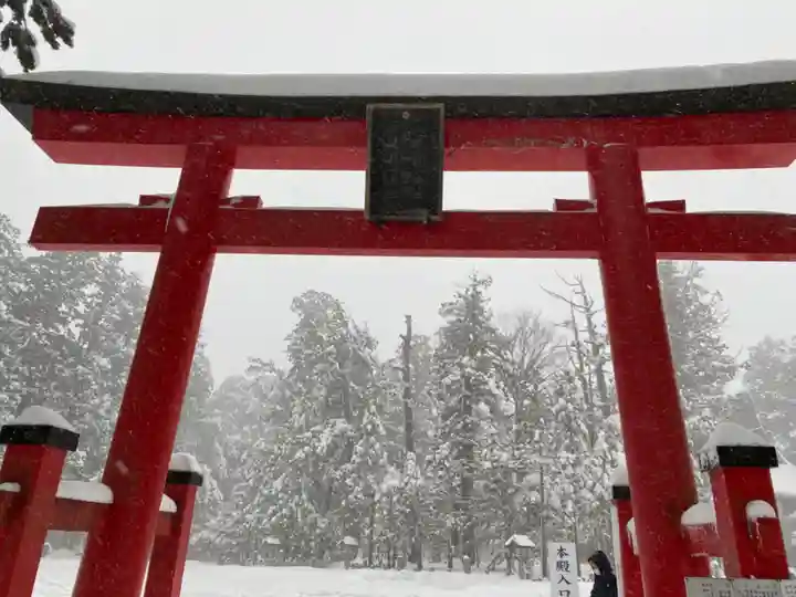 出羽神社(出羽三山神社)~三神合祭殿~の鳥居