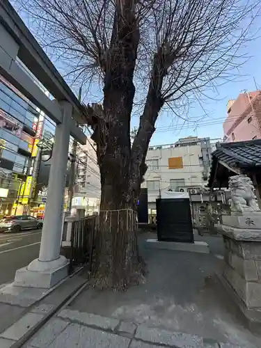 柏神社(千葉県)