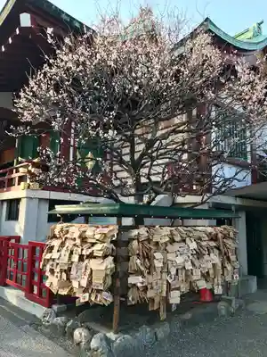 亀戸天神社(東京都)