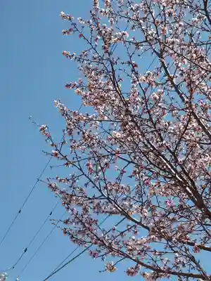 宝光寺(北海道)