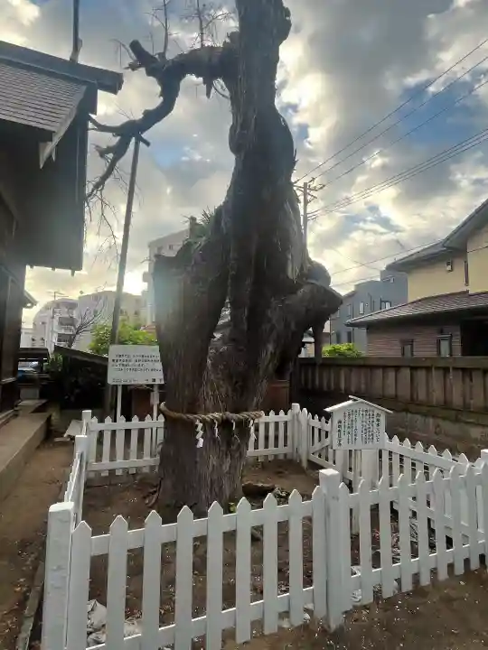 結城神明神社(千葉県)
