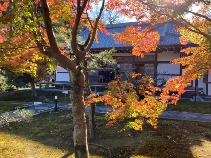 長壽寺(長寿寺)の本殿・本堂