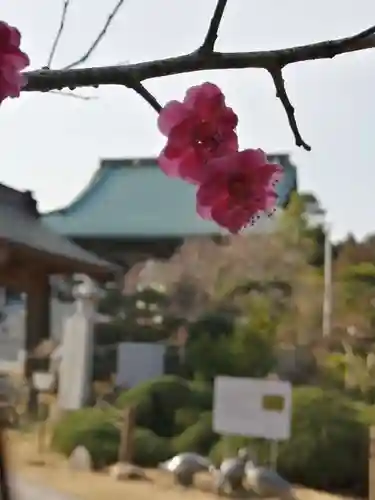 大聖寺（土浦大師不動尊）の自然