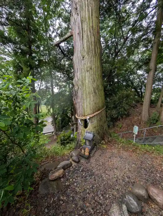 阿久津「田村神社」(郡山市阿久津町)旧社名:伊豆箱根三嶋三社(福島県)