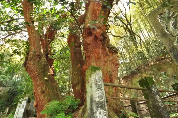 恩山寺(徳島県)